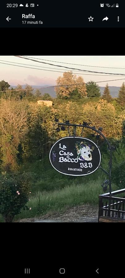 La Casa Di Bacco B&B Lerma Экстерьер фото