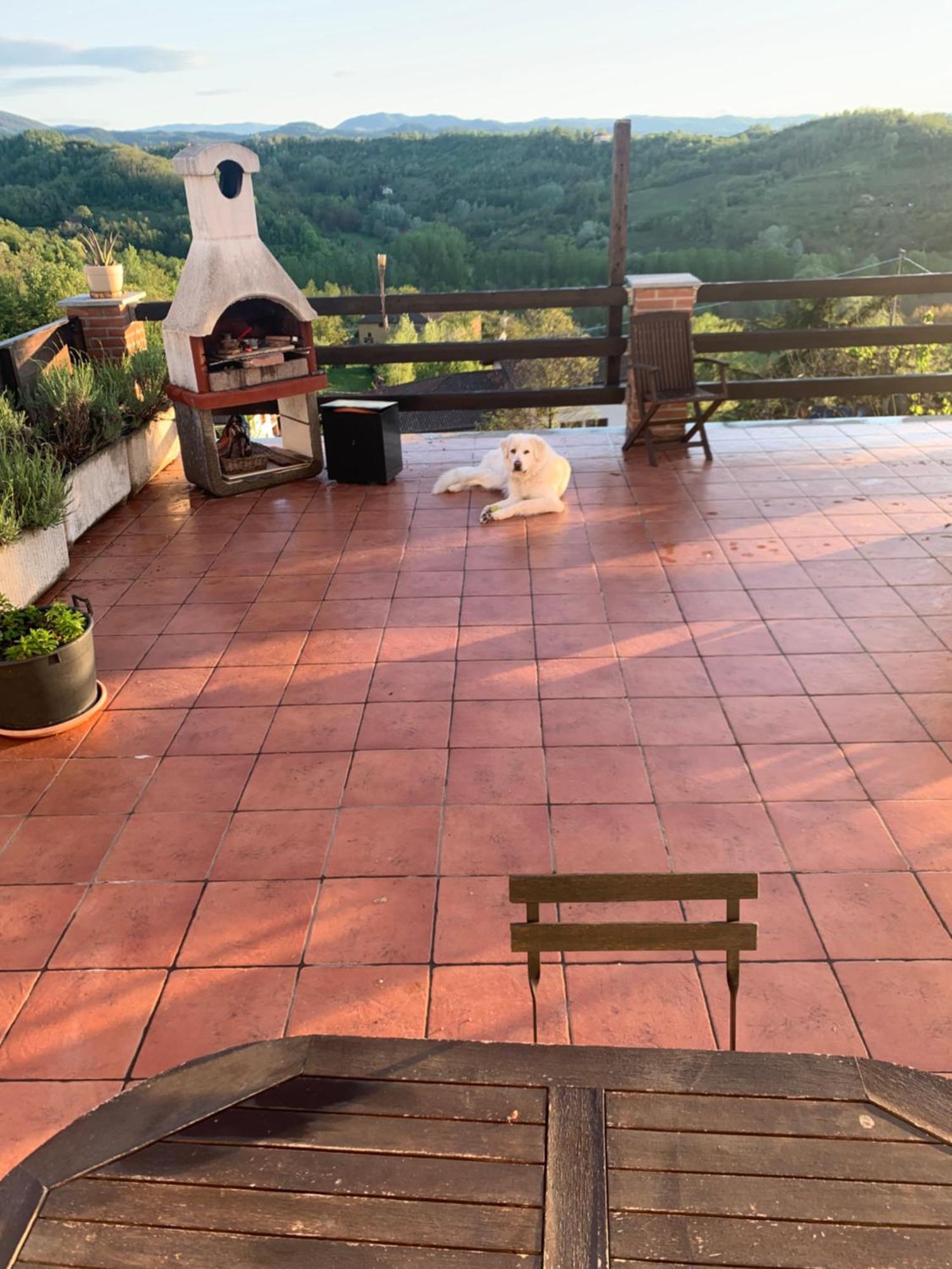La Casa Di Bacco B&B Lerma Экстерьер фото